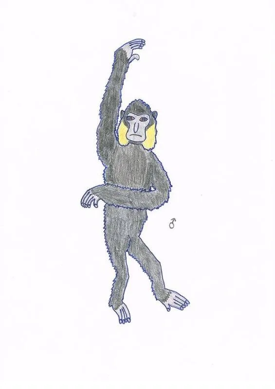 Northern Yellow-cheeked Crested Gibbon